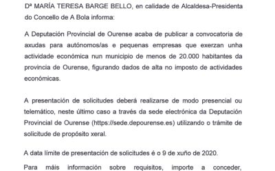 AXUDAS DA DEPUTACIÓN DE OURENSE PARA AUTÓNOMOS/AS E PEQUENAS EMPRESAS